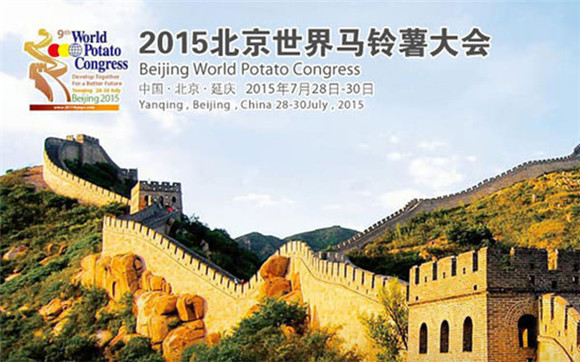 你好!那个叫“洋芋”的马铃著同志!