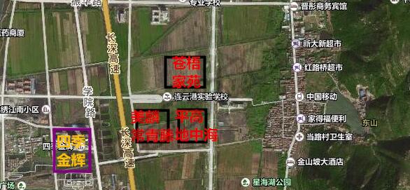 连云港花果山大道新盘,连云港花果山大道最新进展