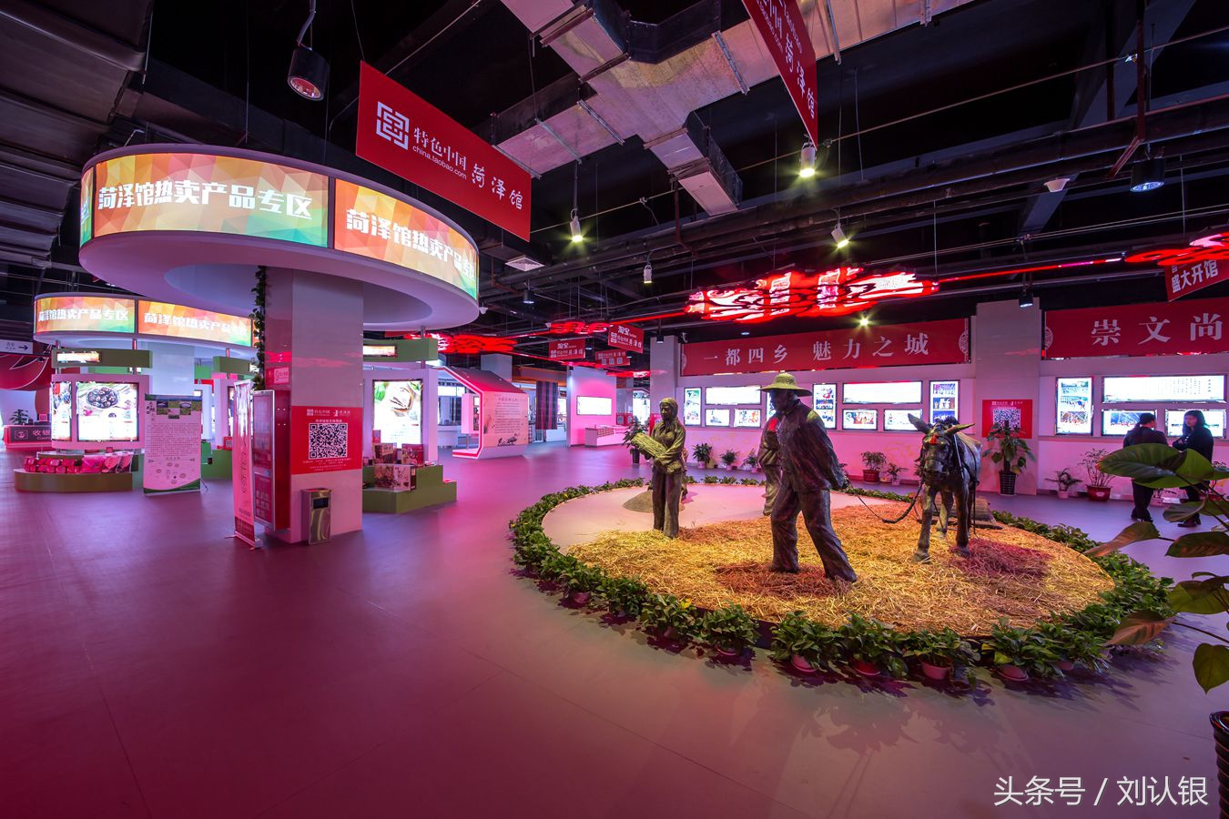 菏泽高峰论坛,菏泽天华电商产业园拍摄