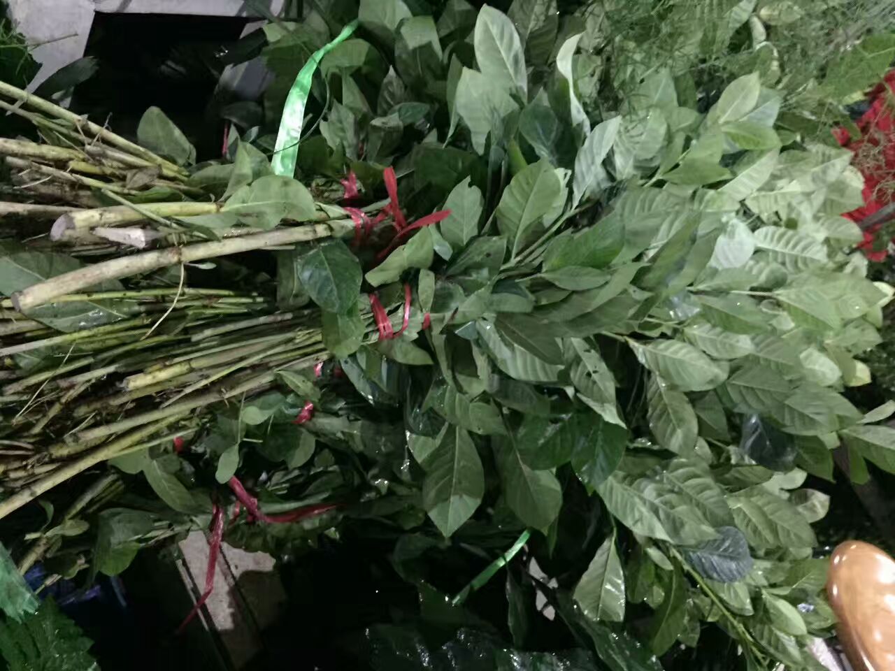 看了这些图,下次去花店你就能把花店里的花花草草叫出名字来了!