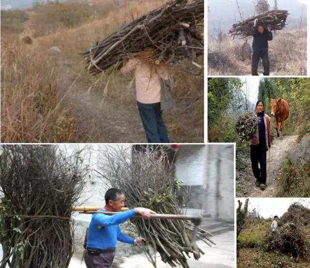 农村这些农活，做过5个的顶起，特别是第七个！