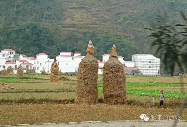 农村这些农活，做过5个的顶起，特别是第七个！