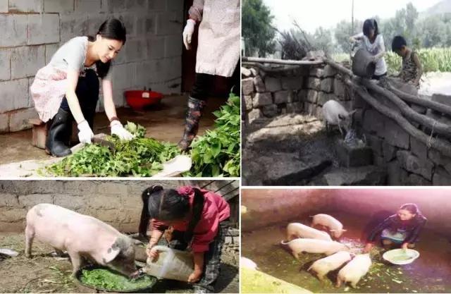 农村这些农活，做过5个的顶起，特别是第七个！