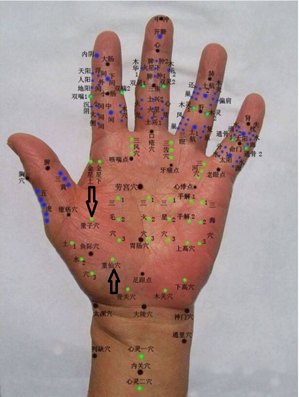 治背疼痛的穴位,董氏奇穴治疗后背疼的视频