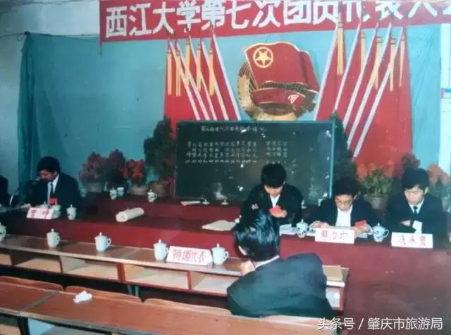 肇庆最好的学院有哪几个,肇庆市最美学校