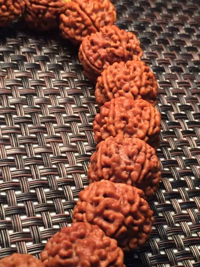 金刚圈子里混三年,这些品种都够呛能认全!