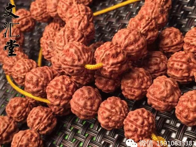 金刚圈子里混三年,这些品种都够呛能认全!