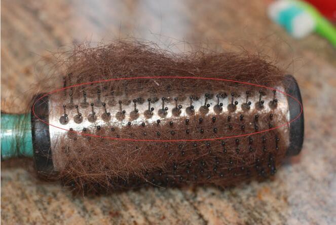 方便打理毛躁头发的梳子,梳子沾满头发