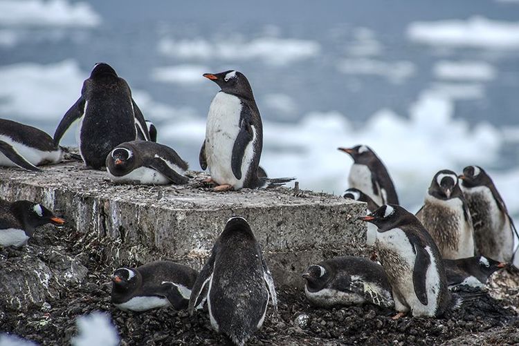 嗨哩文旅丨在世界的尽头的九个日日夜夜