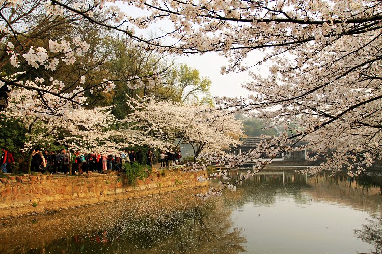 江苏最新县改市的有几个,江苏最新申报撤县改区改市的名单