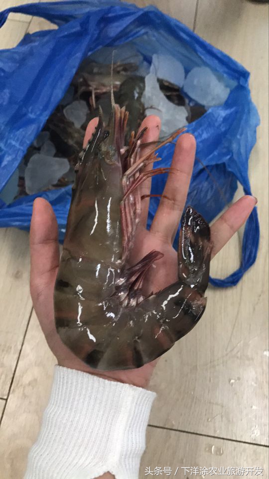 宁波海鲜餐排行榜第一名,宁波江北区海鲜排行榜前十名