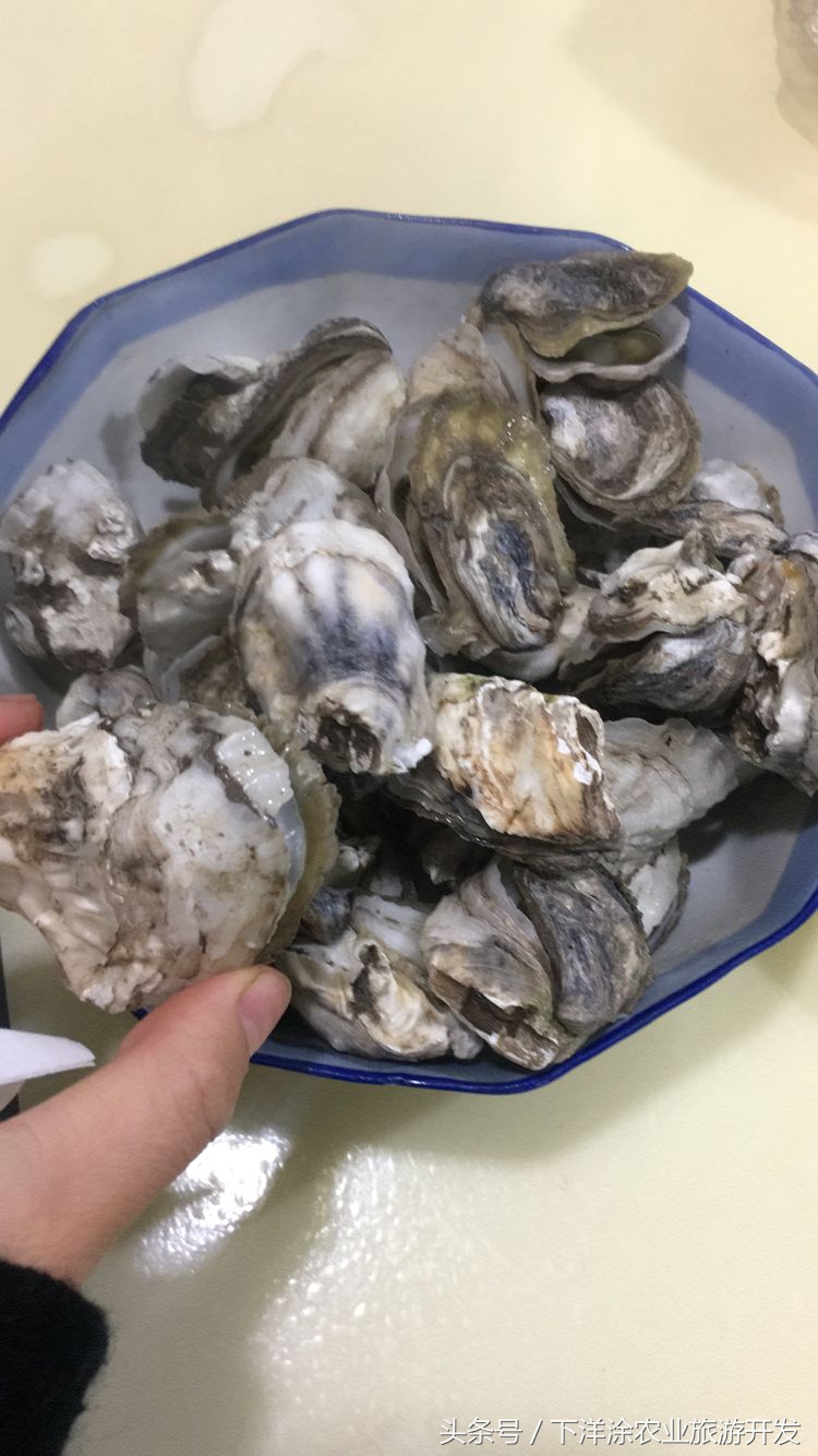 宁波海鲜餐排行榜第一名,宁波江北区海鲜排行榜前十名