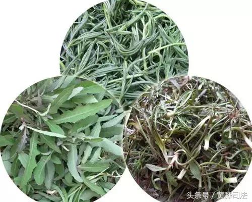 爱家乡的感受,爱家乡的美食美景