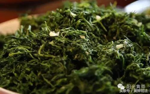 爱家乡的感受,爱家乡的美食美景