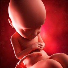 怀孕37天去检查早吗,怀孕检查的时间准吗