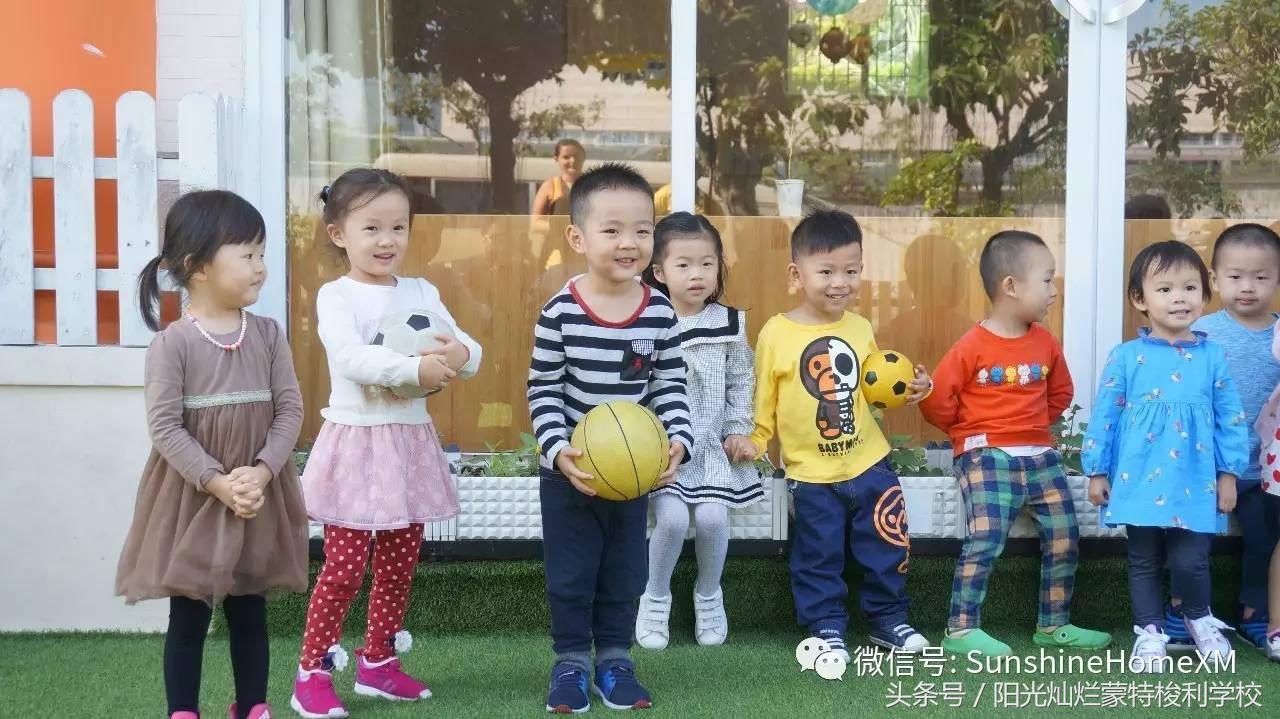 2017年新课程标准理念,2017年教学大纲哪年用