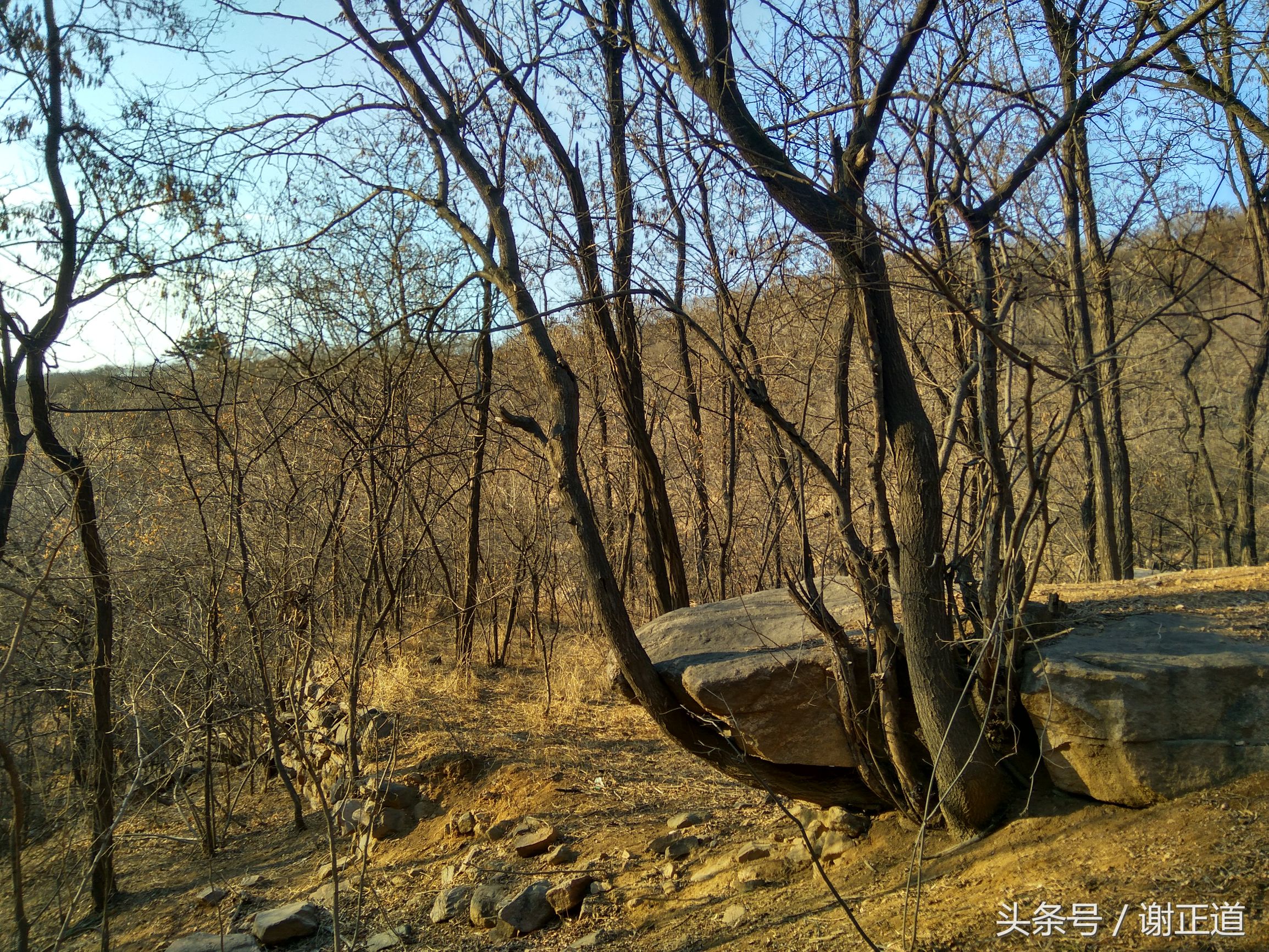 灵寿秋山风景区攻略,灵寿秋山自然风景区电话