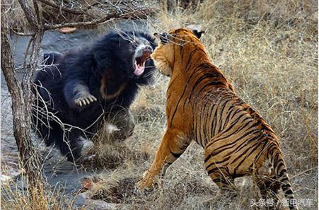 锐界五座跟途观l比较,为什么汉兰达加价锐界优惠这么大