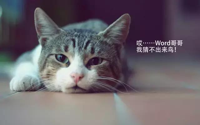 思杰citrix2024年,citrix思杰怎么样