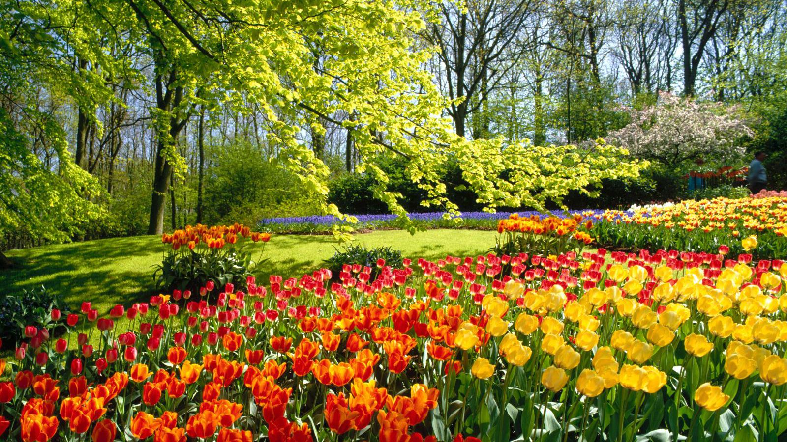 春天皮肤病注意什么,春天易发的皮肤病有哪些