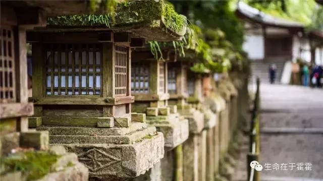 拉面 · 自动贩售机 · 雪｜云之彼岸的日本欢脱之旅