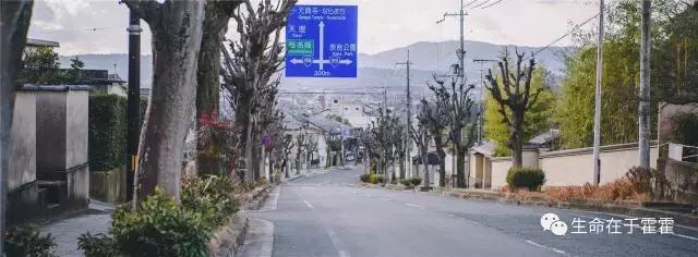 拉面 · 自动贩售机 · 雪｜云之彼岸的日本欢脱之旅