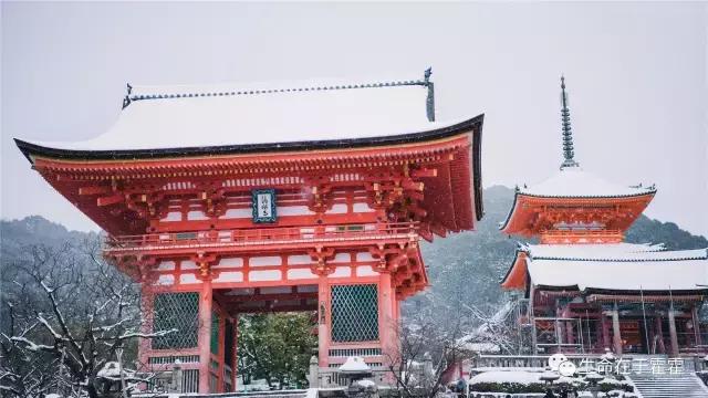 拉面 · 自动贩售机 · 雪｜云之彼岸的日本欢脱之旅