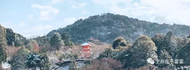 拉面 · 自动贩售机 · 雪｜云之彼岸的日本欢脱之旅