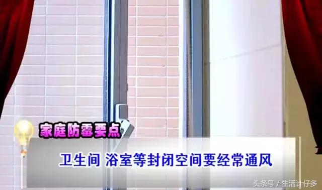 回南天的霉菌用什么擦洗,回南天霉菌怎么消