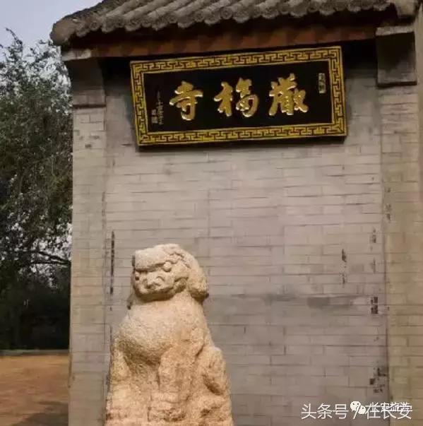 东莞长安有什么好玩的景点,东莞长安景点哪个值得去