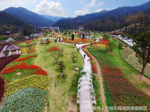 花讯播报泡汤赏花SPA住客房,只在南苑花博园!