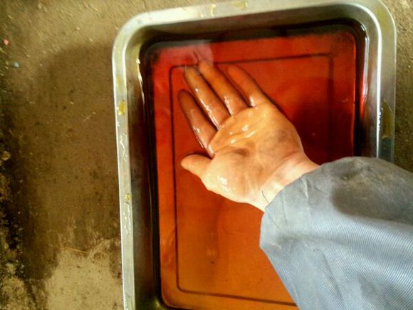 仔猪疝气怎样辨别,割仔猪疝气的正确方法