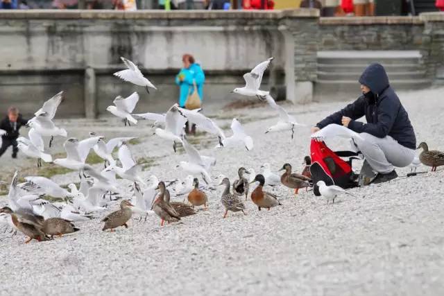 去新西兰绝对不要错过皇后镇,新西兰皇后镇自由行注意事项