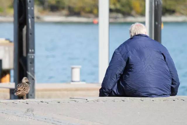 去新西兰绝对不要错过皇后镇,新西兰皇后镇自由行注意事项