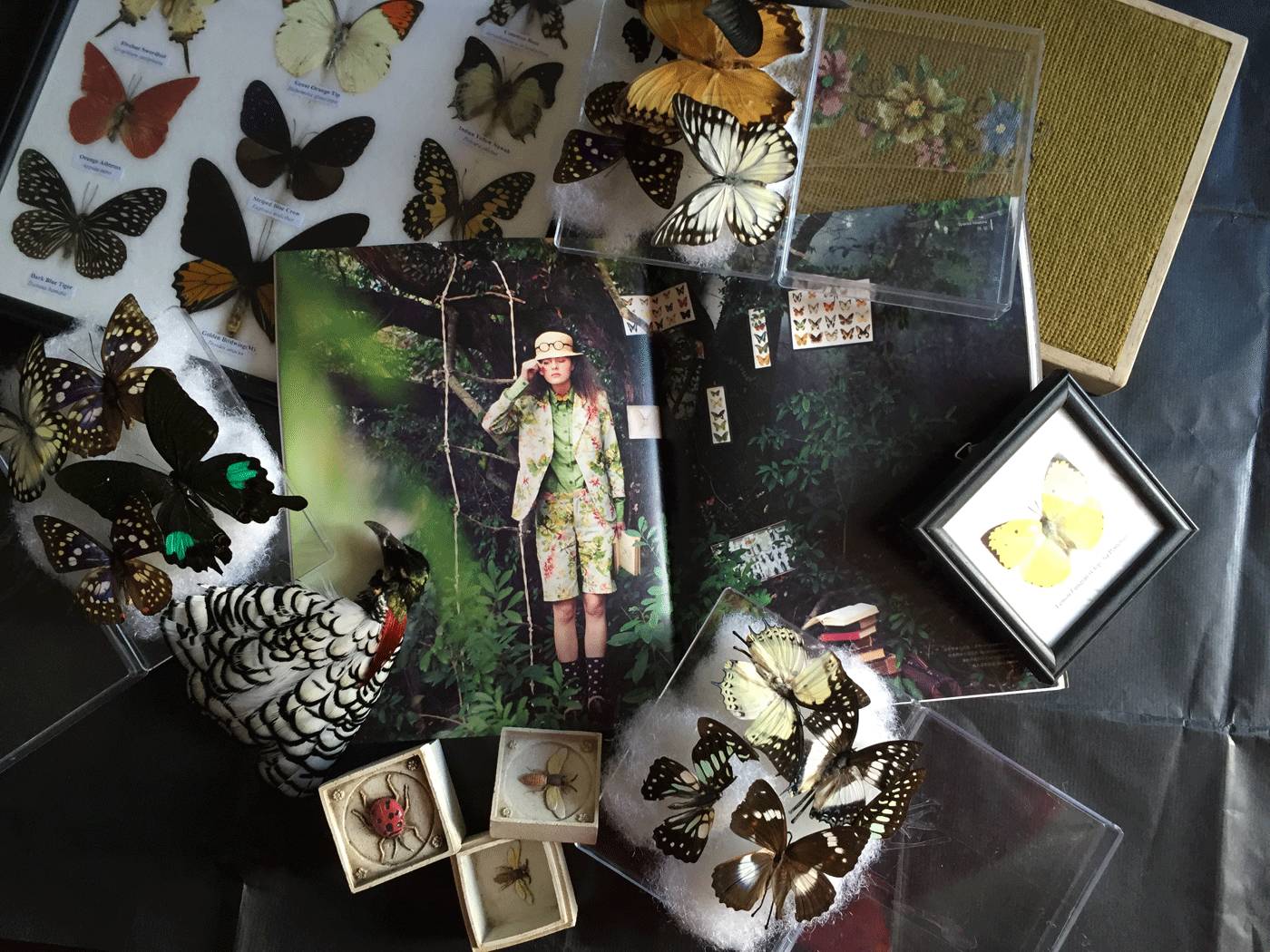 小物星球没有WI-FI的时候在做什么?