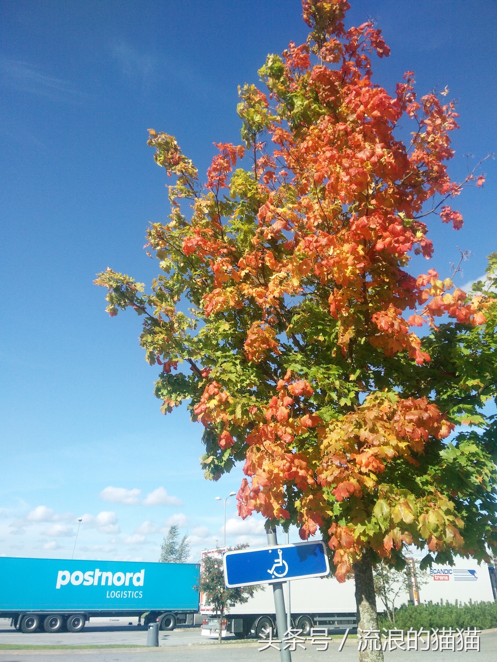 欧洲自驾游75天攻略,15天欧洲自驾游攻略