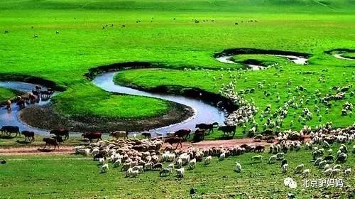 报告老板，我要逃离北京，我请假的的理由是……