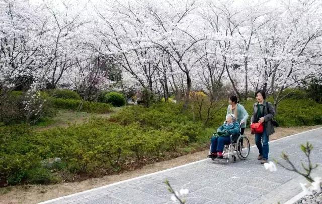 报告老板，我要逃离北京，我请假的的理由是……