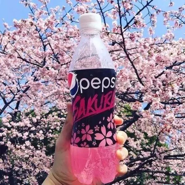 樱花限定款,一起粉出少女味|时令