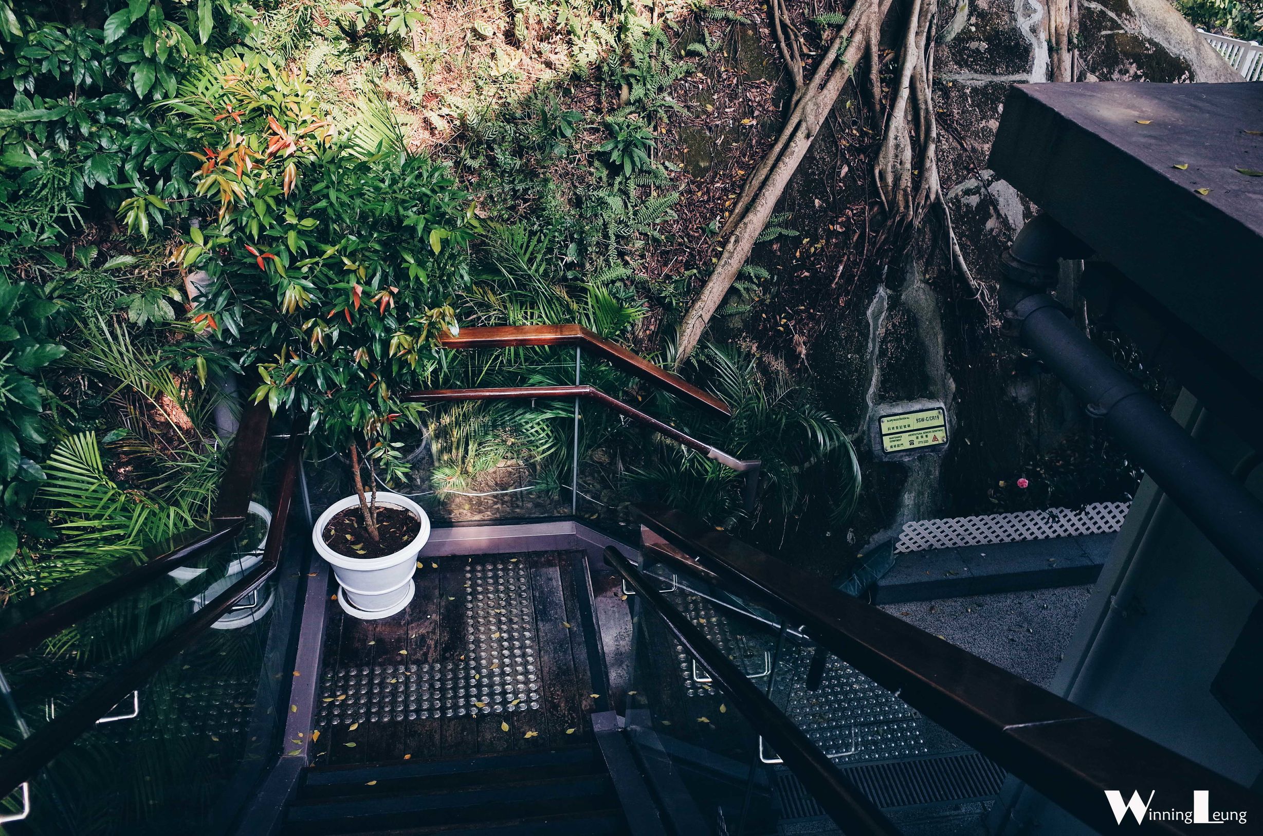 香港深扒：来大澳，记得到旧警署叹上一朝半日