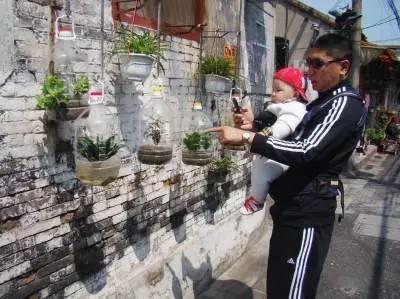 如何用塑料瓶做花盆图解,怎么用塑料瓶做花盆图解