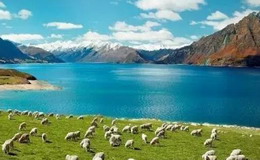 农家学习趣事大全集,农家院趣事