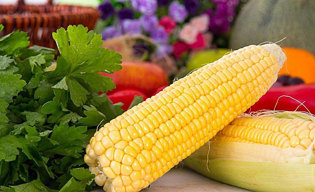 怀孕了孕吐难受吃不下饭怎么办,孕吐吃不下饭有什么办法解决吗