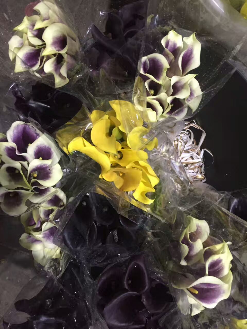 看了这些图,下次去花店你就能把花店里的花花草草叫出名字来了!