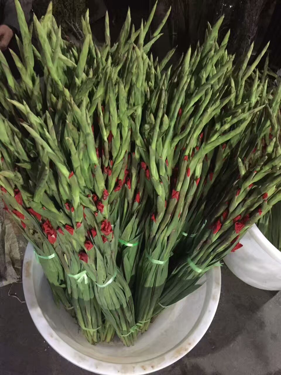 看了这些图,下次去花店你就能把花店里的花花草草叫出名字来了!