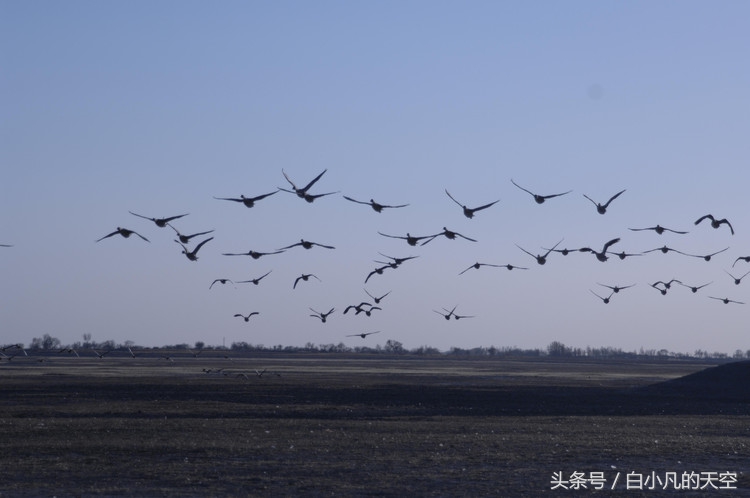 男子十年前收留穷小子10年后报恩,农村小伙被赶出门三年后