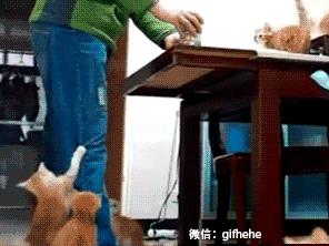 这只股票走势好,是哪支股