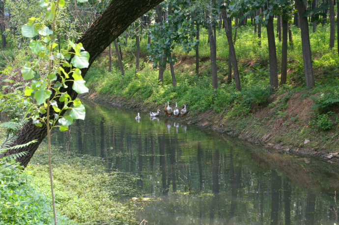 临沣寨中原第一红石古寨,河南古寨临沣寨的传说