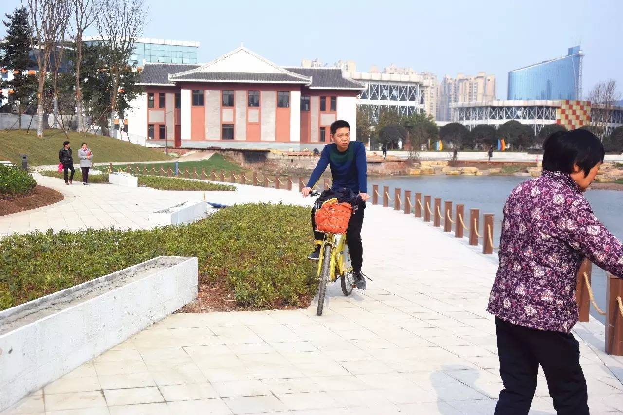 临港为什么那么多公园,宜宾临港公园