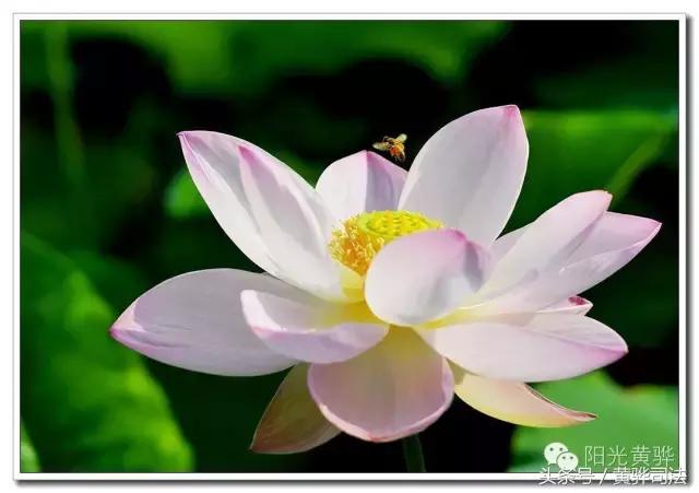 爱家乡的感受,爱家乡的美食美景